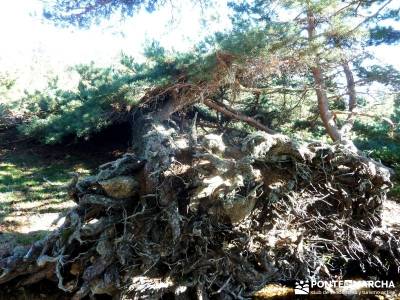 Hoyos glaciares El Nevero, Peña el Cuervo; excursiones cerca de madrid;ruta por la sierra de madrid